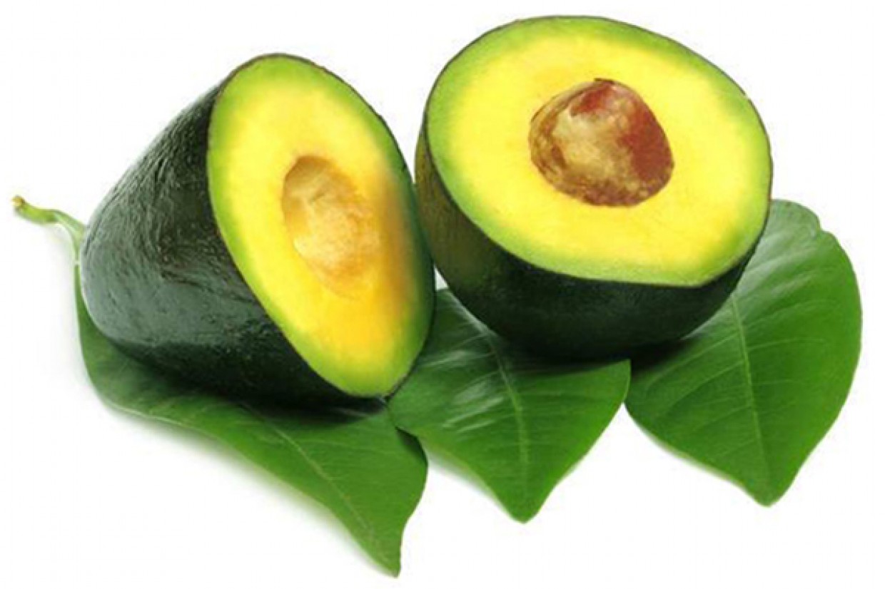 Avocado