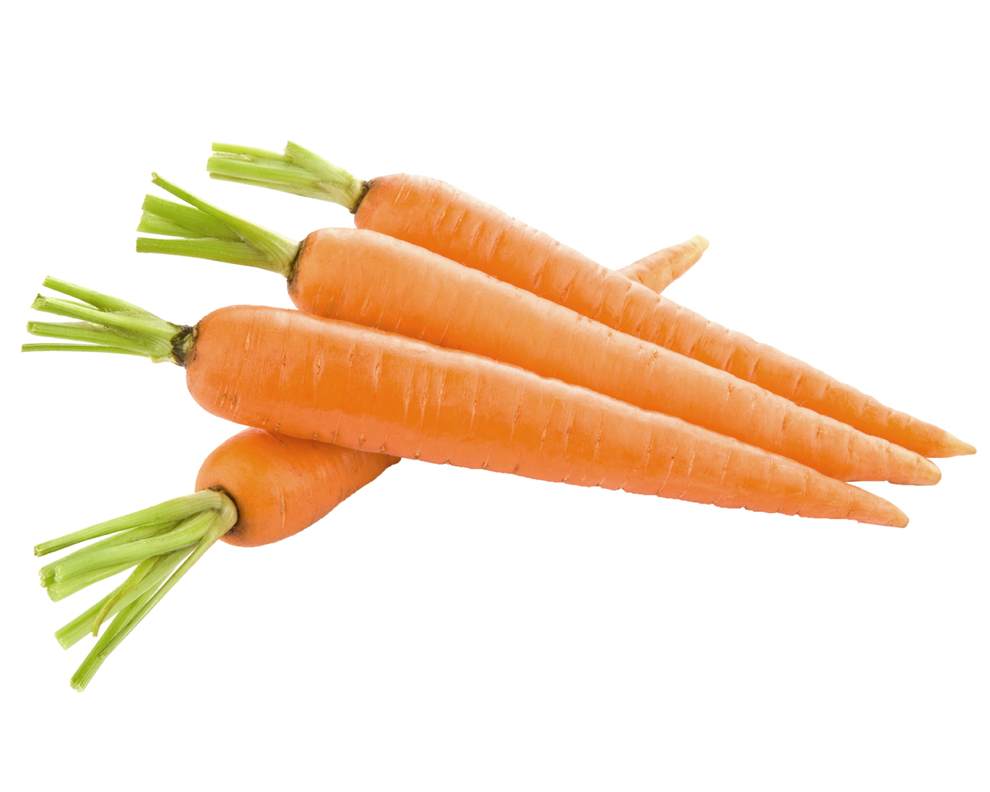 Fresh carrot