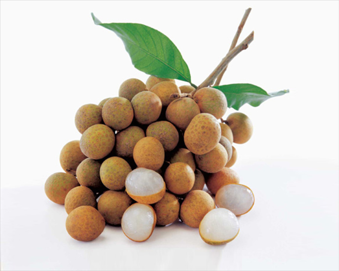 Longan