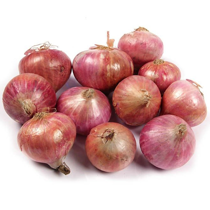 Fresh Onion